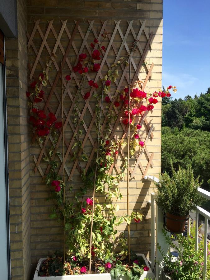 Happy Holiday In Rome B&B Eksteriør billede