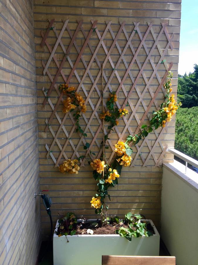 Happy Holiday In Rome B&B Eksteriør billede